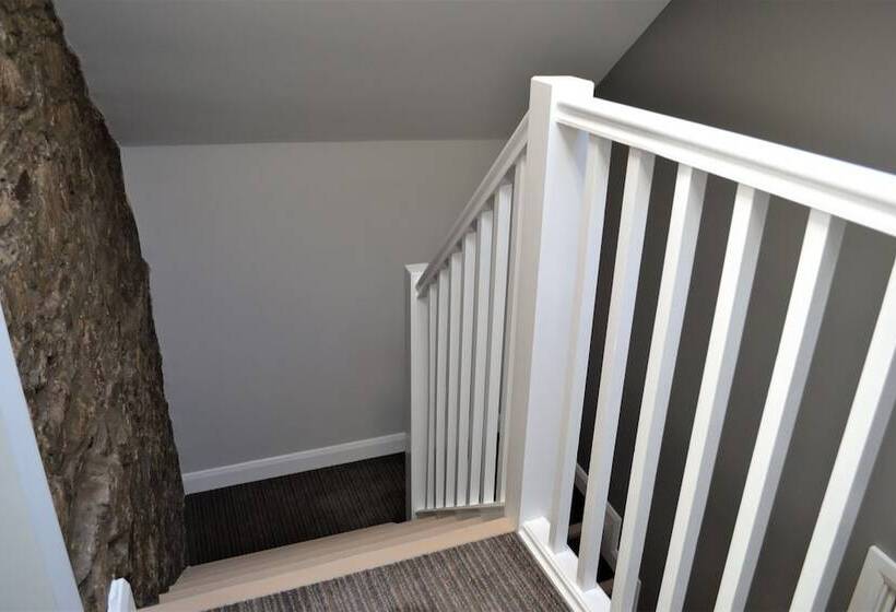 פנסיון New Park