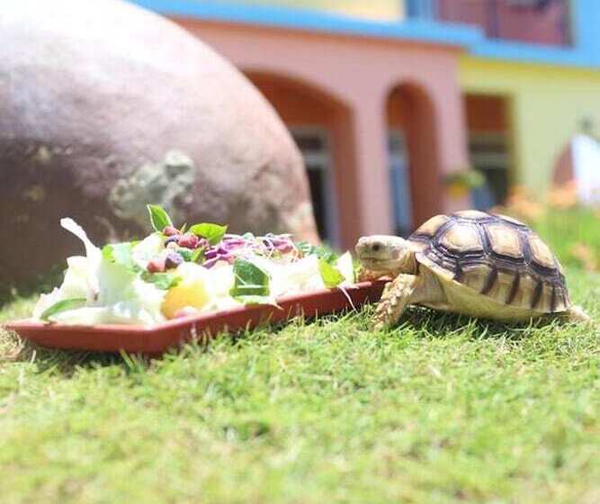 پانسیون Provence B&b