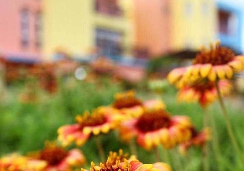 پانسیون Provence B&b