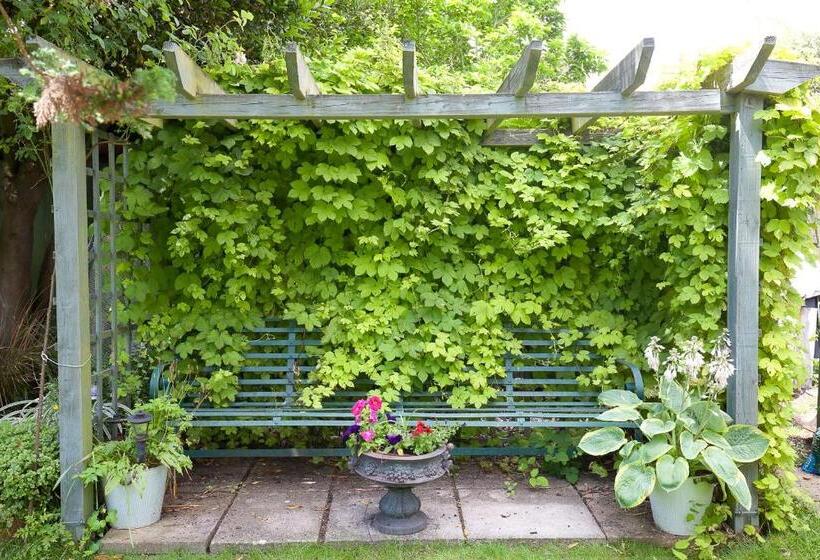 Пансион The Old House Guest House