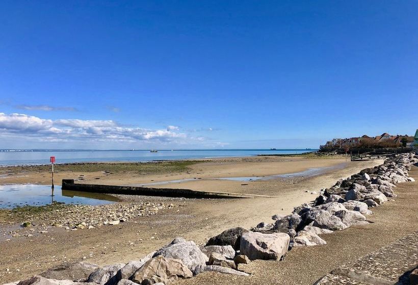 The Seashells  Seaview