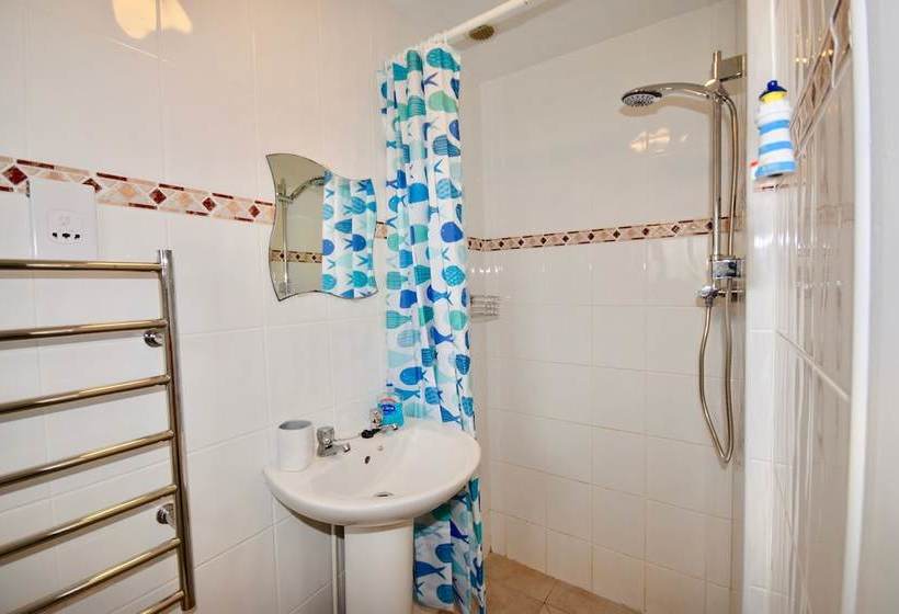 The Seashells  Seaview