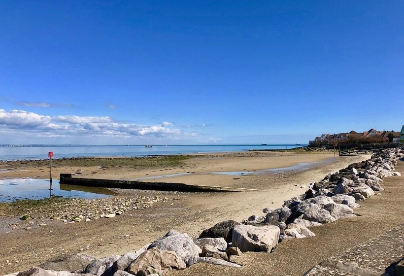 The Seashells  Seaview