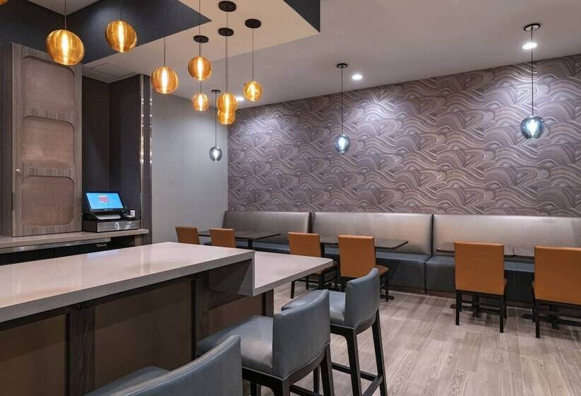 Towneplace Suites By Marriott Dallas Dfw Airport North/irving