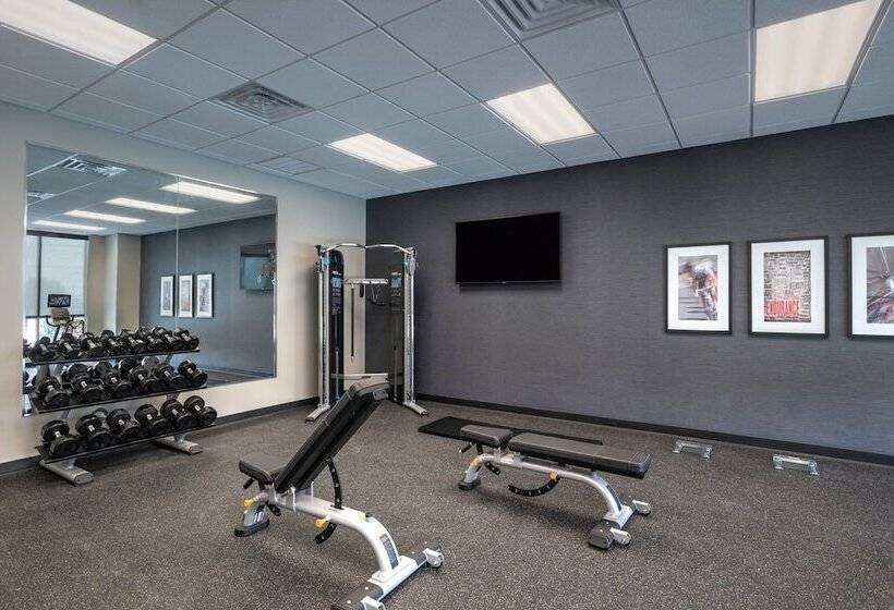 Towneplace Suites By Marriott Dallas Dfw Airport North/irving