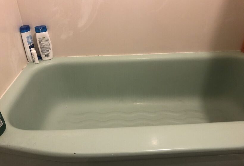 Общежитие Whole Family  Wholeville