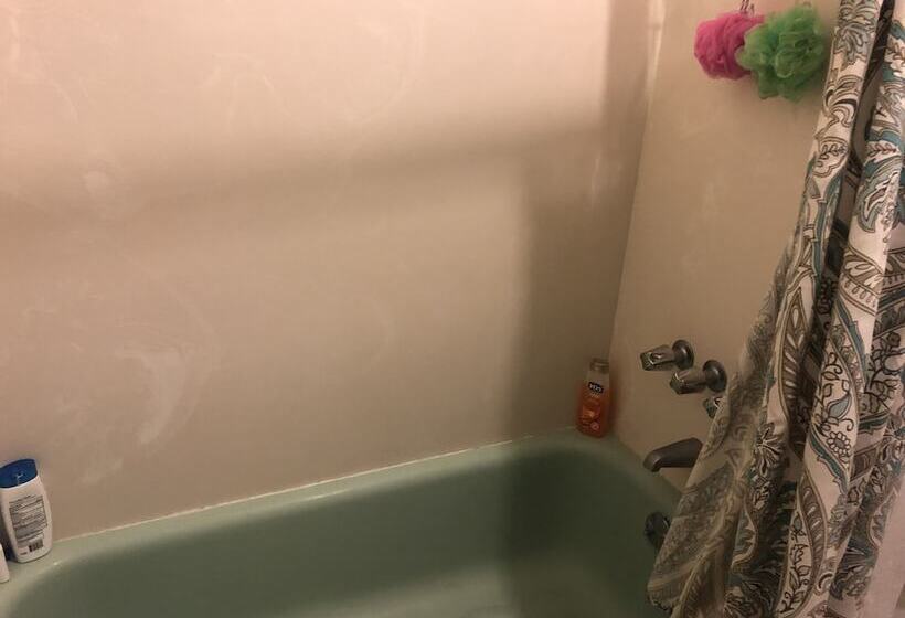 Общежитие Whole Family  Wholeville