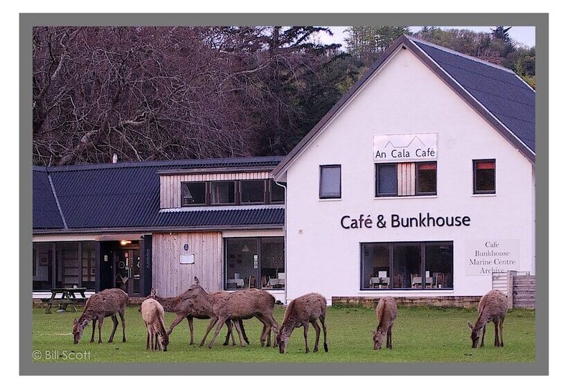 An Cala Cafe And Bunkhouse   Hostel
