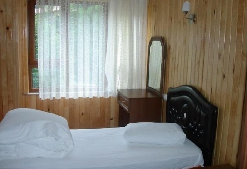Ayder Yesil Vadi Otel