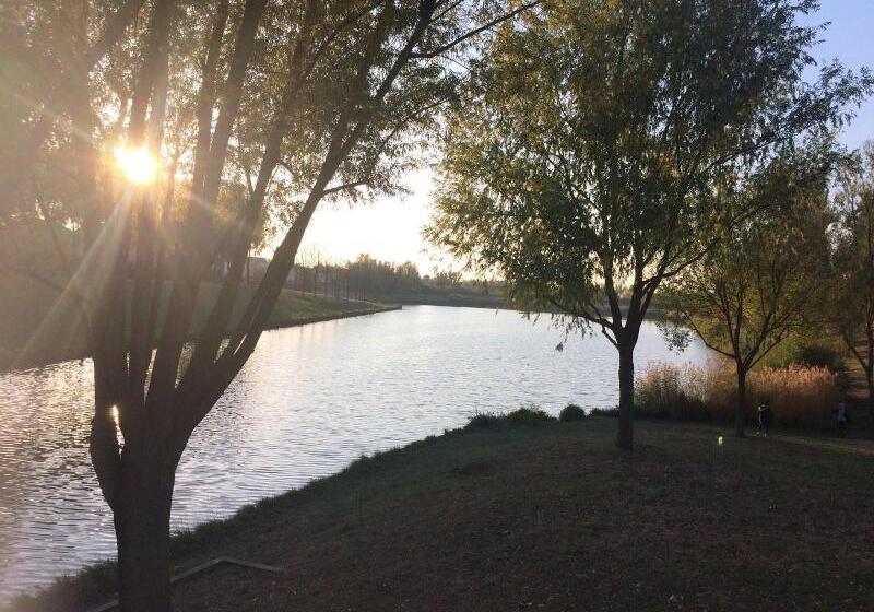 تختخواب و صبحانه Au Levrier De Chessy