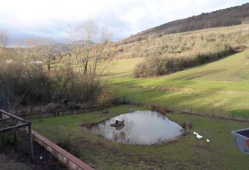 Bed and Breakfast Aux Vignes