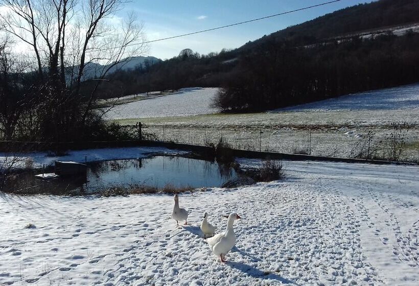 Bed and Breakfast Aux Vignes