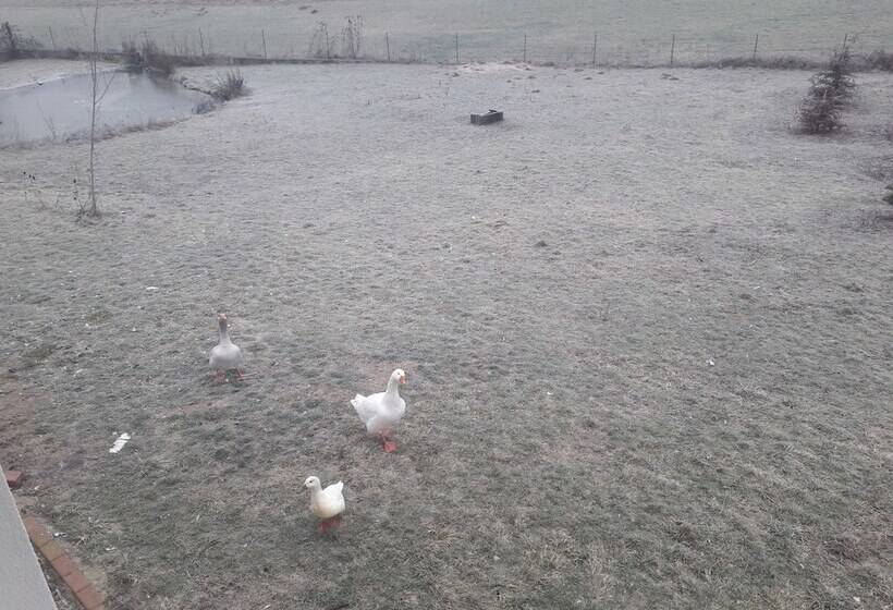 Bed and Breakfast Aux Vignes