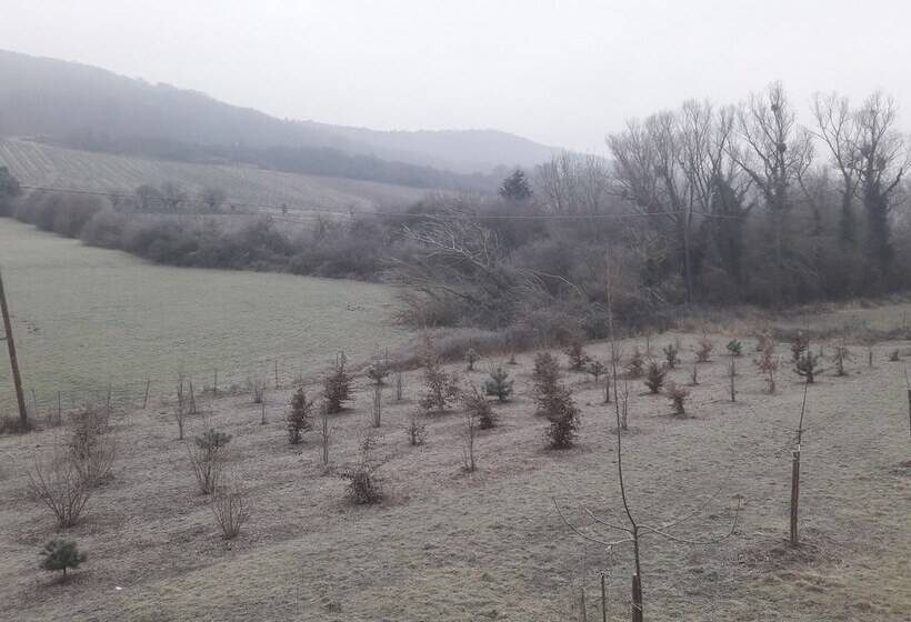 Bed and Breakfast Aux Vignes