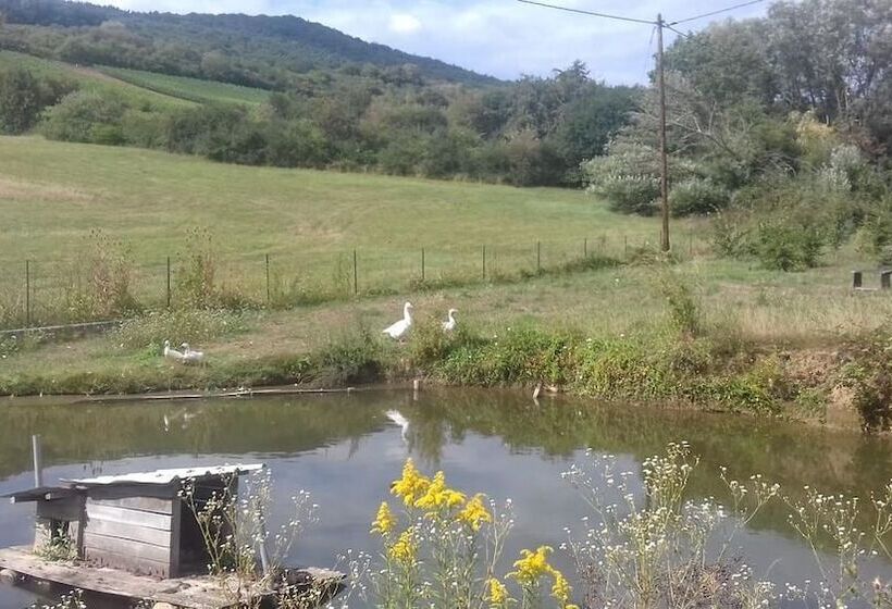 Bed and Breakfast Aux Vignes