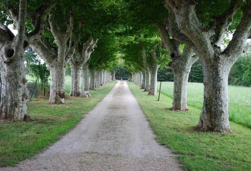 住宿加早餐  Le Mas Saint Jacques