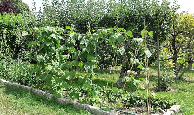 ベッドアンドブレックファースト Chambres D Hôtes Les Clefs Du Bonheur