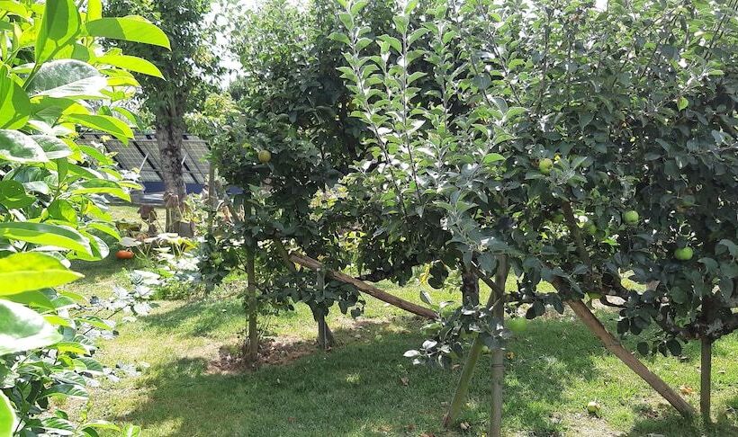 ベッドアンドブレックファースト Chambres D Hôtes Les Clefs Du Bonheur