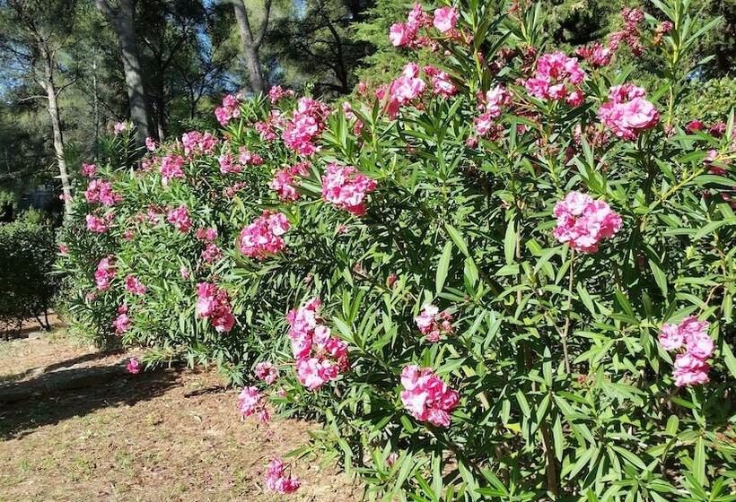 مبيت وإفطار Domaine Des Restanques