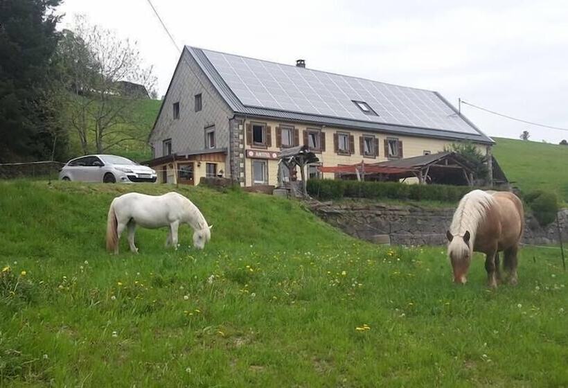 Bed and Breakfast Ferme Auberge Du Chèvremont