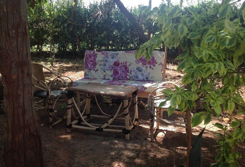 مبيت وإفطار Frina Buffalo Lodge