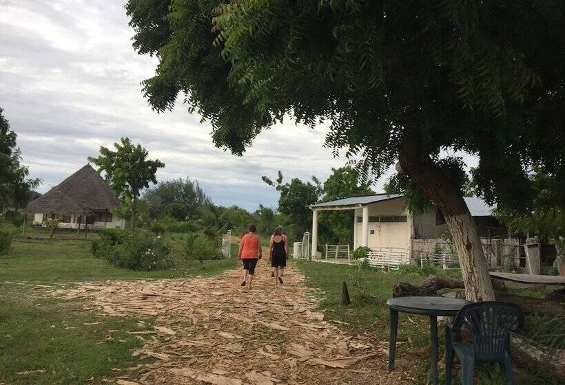 Bed and Breakfast Jcb Resort