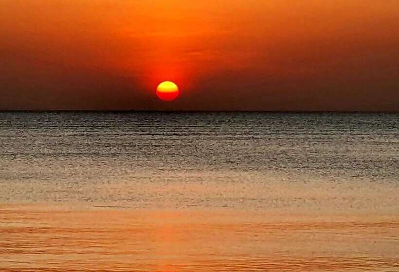 Bed and Breakfast Jcb Resort