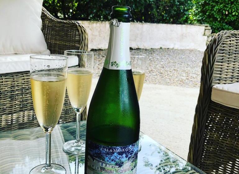 تختخواب و صبحانه Le Mas Vigneron