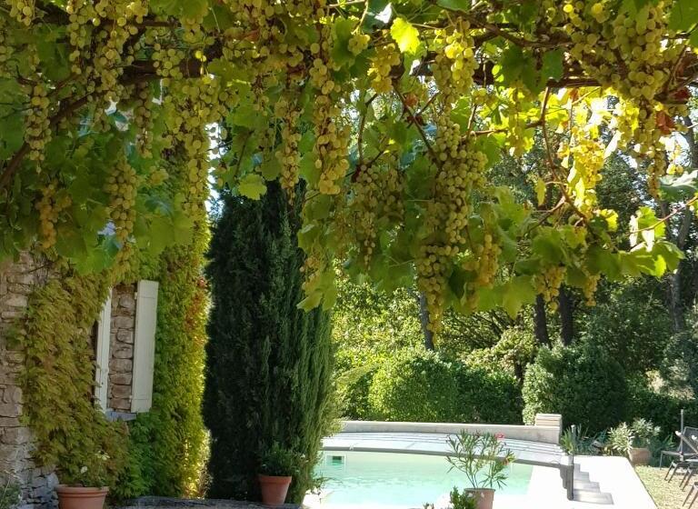 تختخواب و صبحانه Le Mas Vigneron