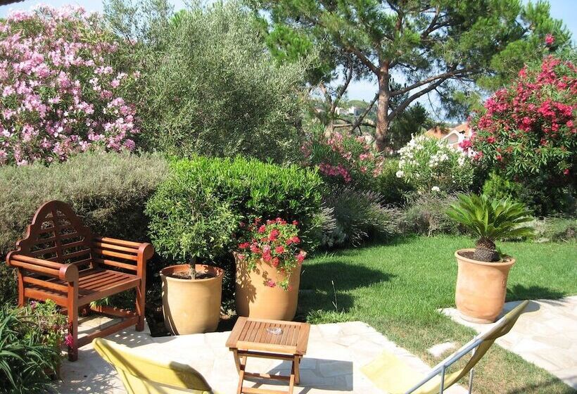 مبيت وإفطار Mas Samarcande