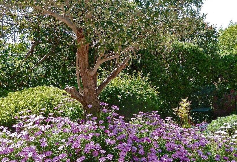 مبيت وإفطار Mas Samarcande