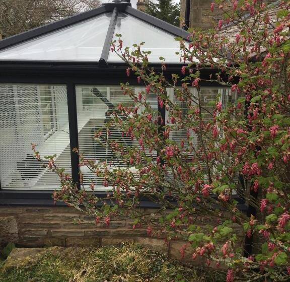 تختخواب و صبحانه The Snug @ Corry Cottage