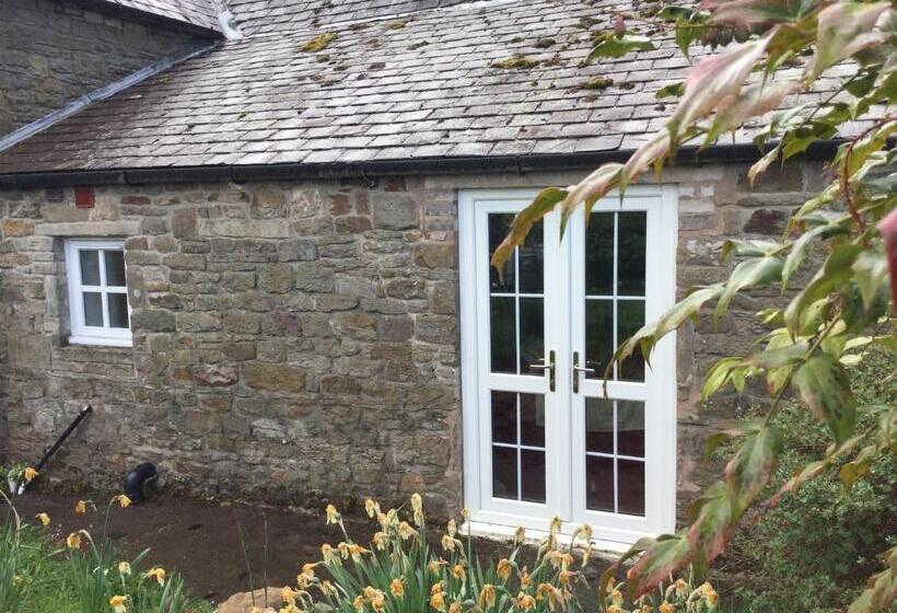 تختخواب و صبحانه The Snug @ Corry Cottage