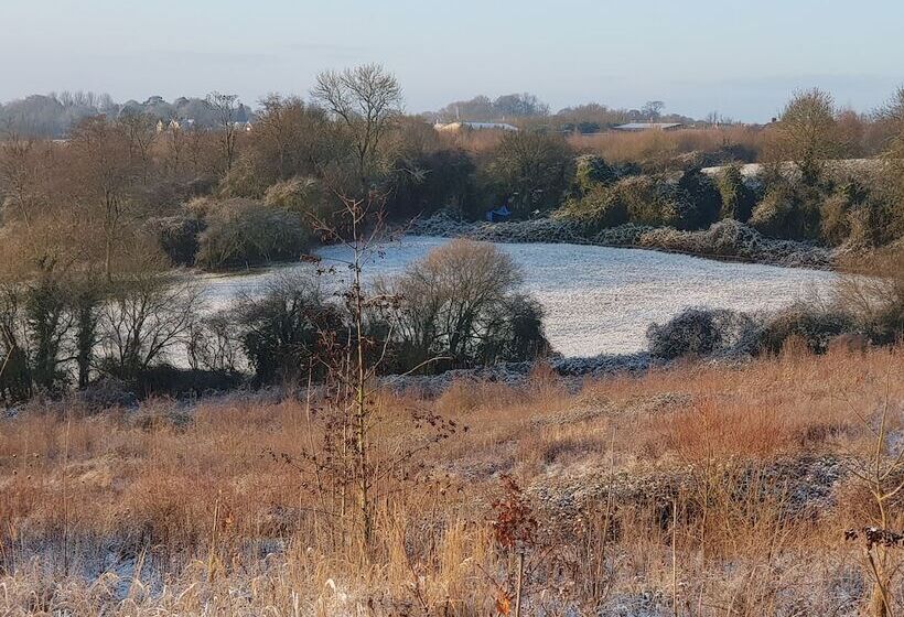 צימר Wisteria Haze