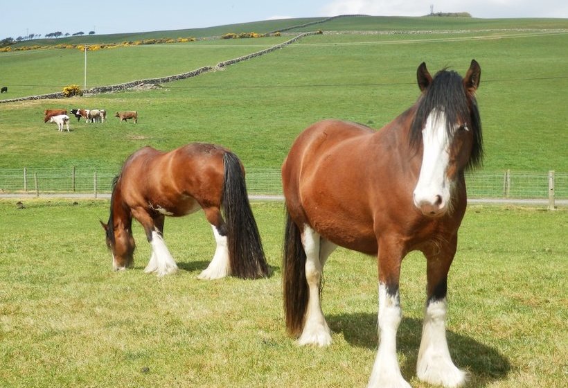 East Challoch Farm Bed And Breakfast