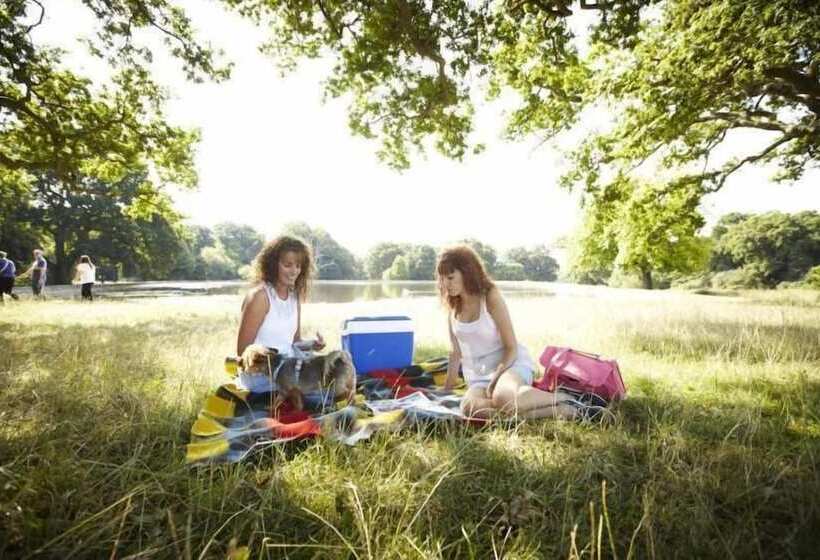 Freemantle Solent Lodge