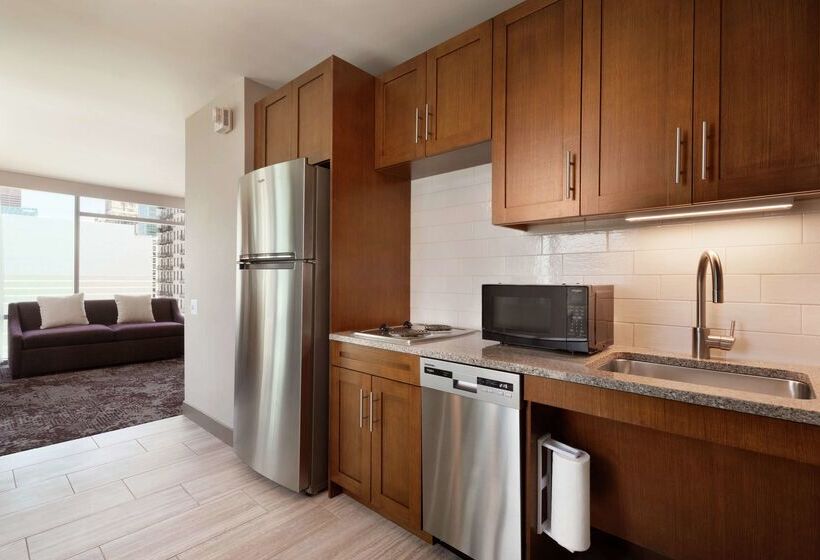 Homewood Suites By Hilton Chicago Downtown South Loop
