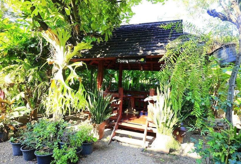 Отель Baan Thapae Boutique Resort And Thai & Relax Massage