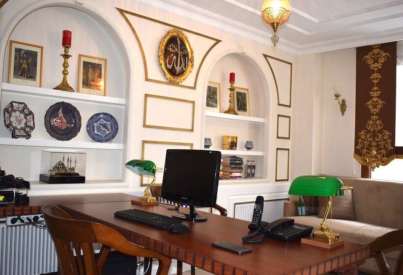 هتل Burckin Suleymaniye