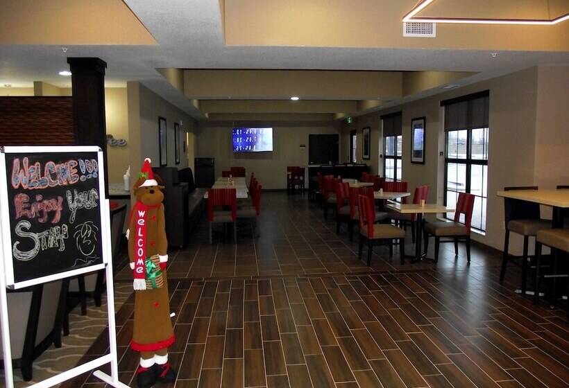 酒店 Comfort Inn & Suites Cedar Rapids Cid Eastern Iowa Airport