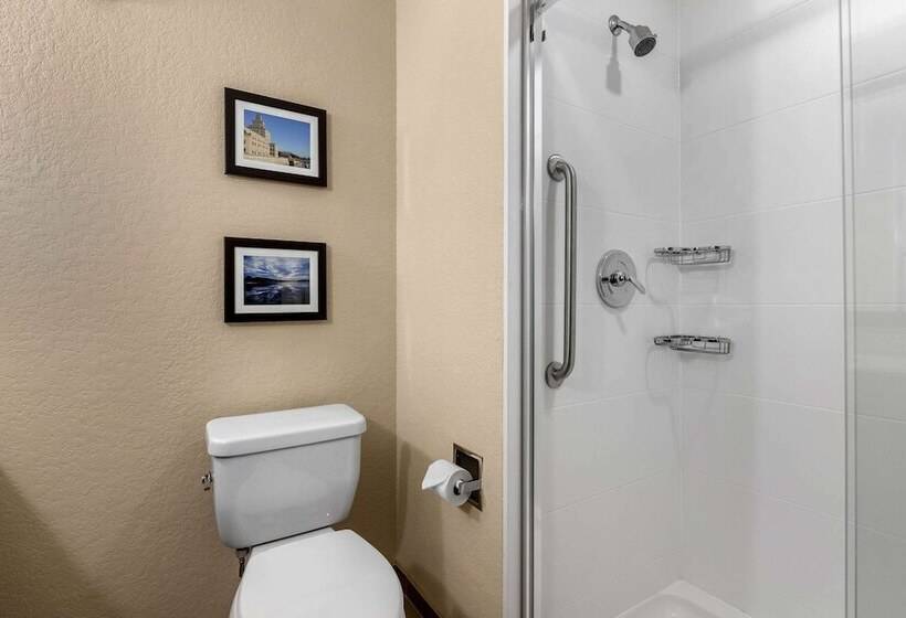 酒店 Comfort Inn & Suites Cedar Rapids Cid Eastern Iowa Airport