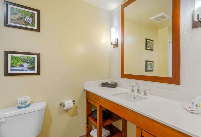 فندق Comfort Suites Burlington Near I5