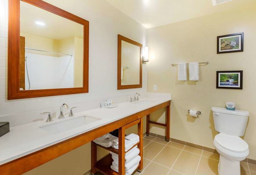 فندق Comfort Suites Burlington Near I5