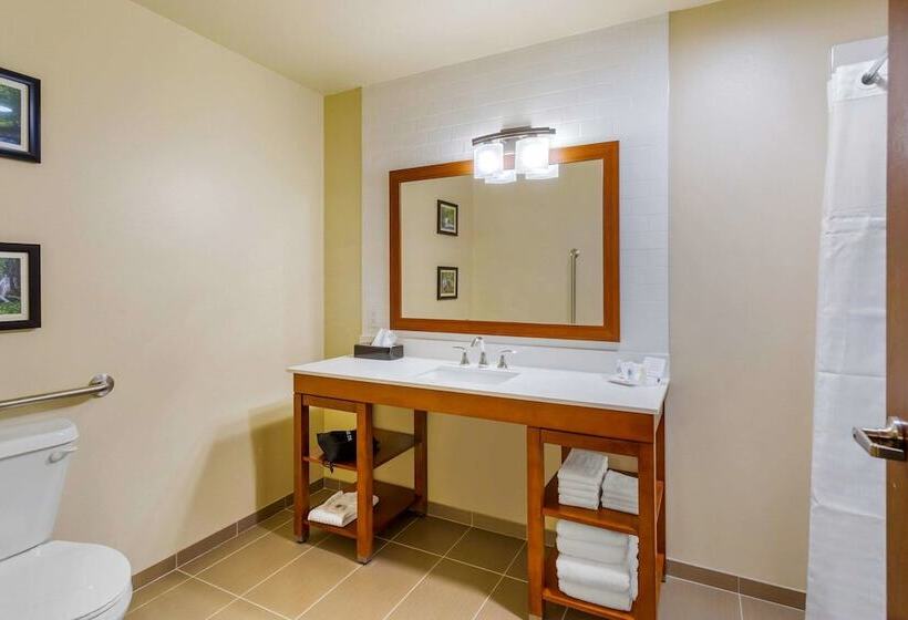 فندق Comfort Suites Burlington Near I5