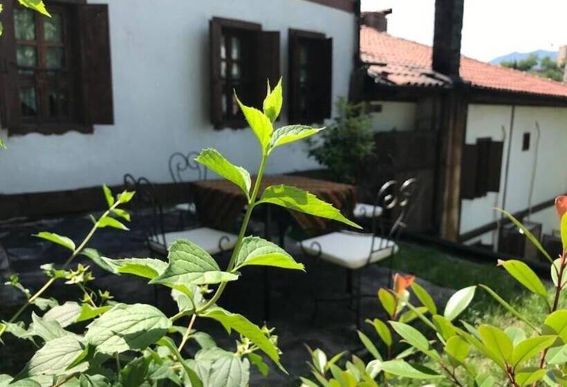 فندق Ebrulu Konak   Special Class