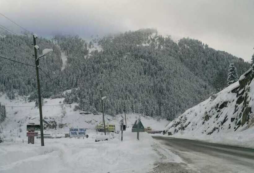 فندق Hamsiköy Zitaş Bungalov & Restoran