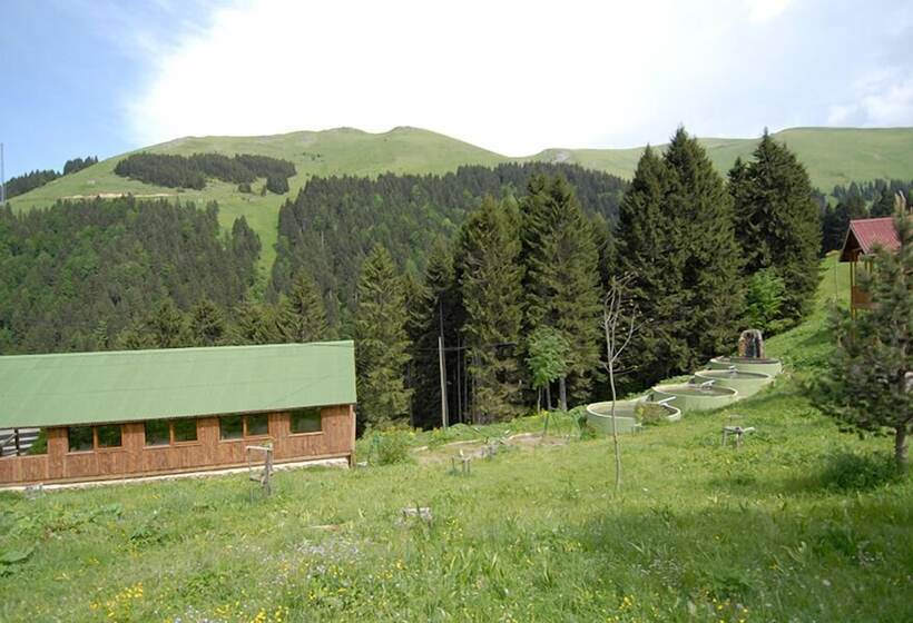 فندق Hamsiköy Zitaş Bungalov & Restoran