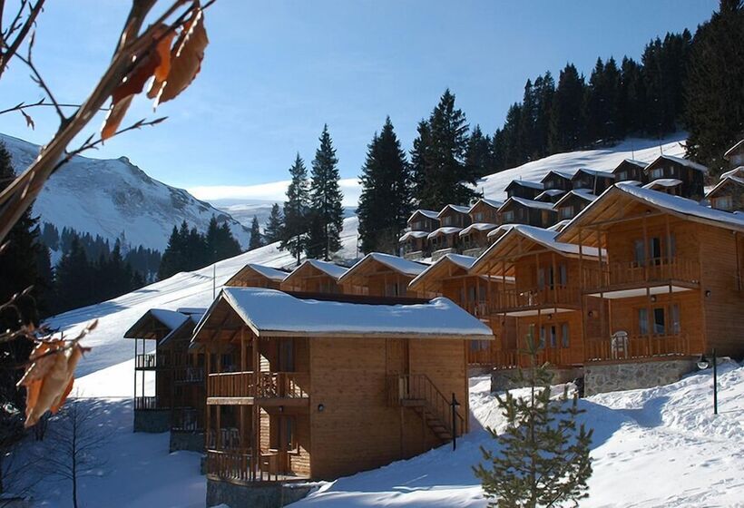 فندق Hamsiköy Zitaş Bungalov & Restoran