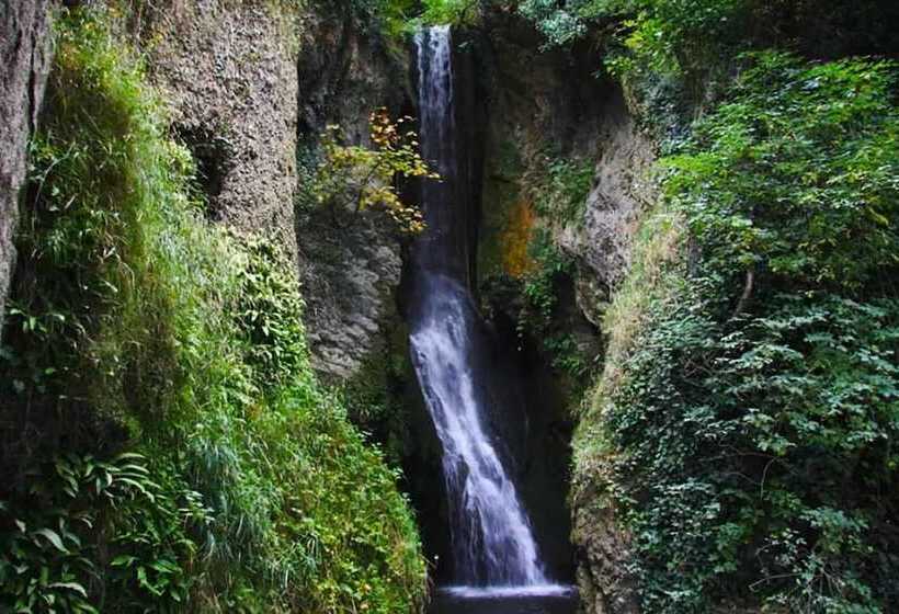 酒店 Herons Lake Retreat