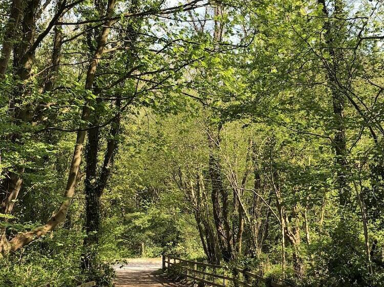 酒店 Herons Lake Retreat